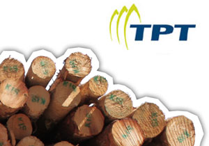 TPT Forests