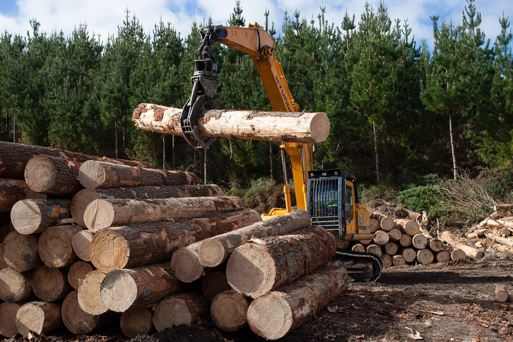 Forestry